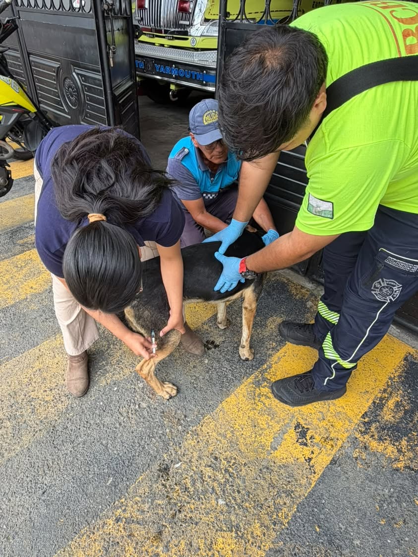 Bomberos de Bucay rescatan a canino envenenado cerca del Parque de la Madre