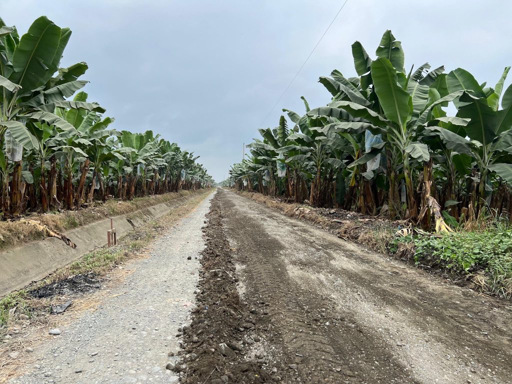 Alcaldía de Naranjito inicia reconformación vial en sector 5 Hermanos – Norton